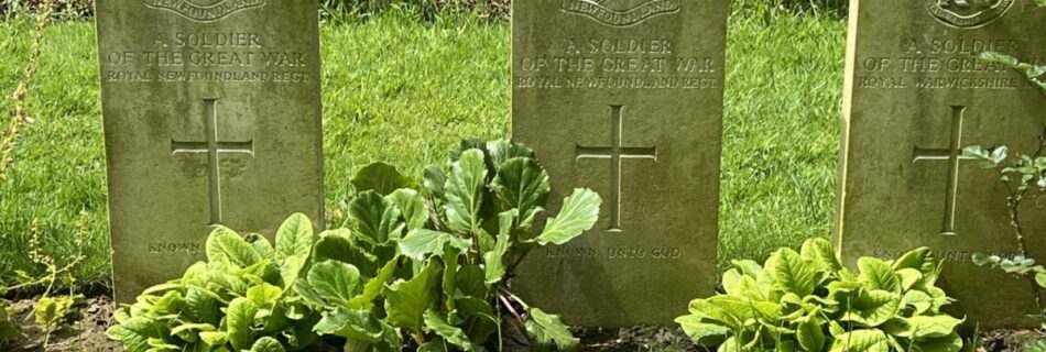 Newfoundland Regiment Gravestone France