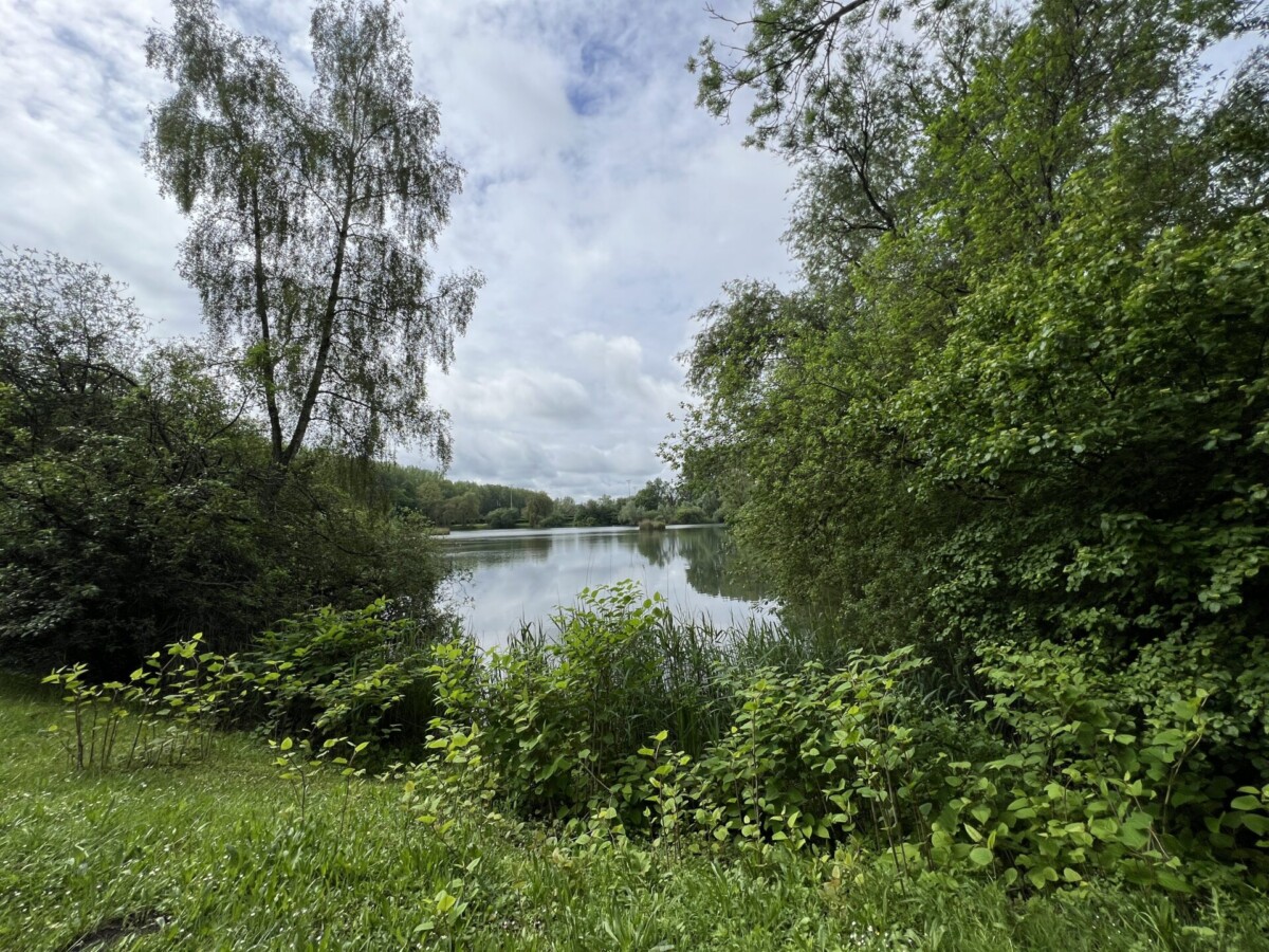 Explore Albert France 5km route Velodrome Park