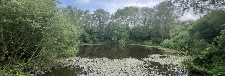 Peace Pool Bunker Exclusive Free Cycle Route WW1 Sites South Ypres