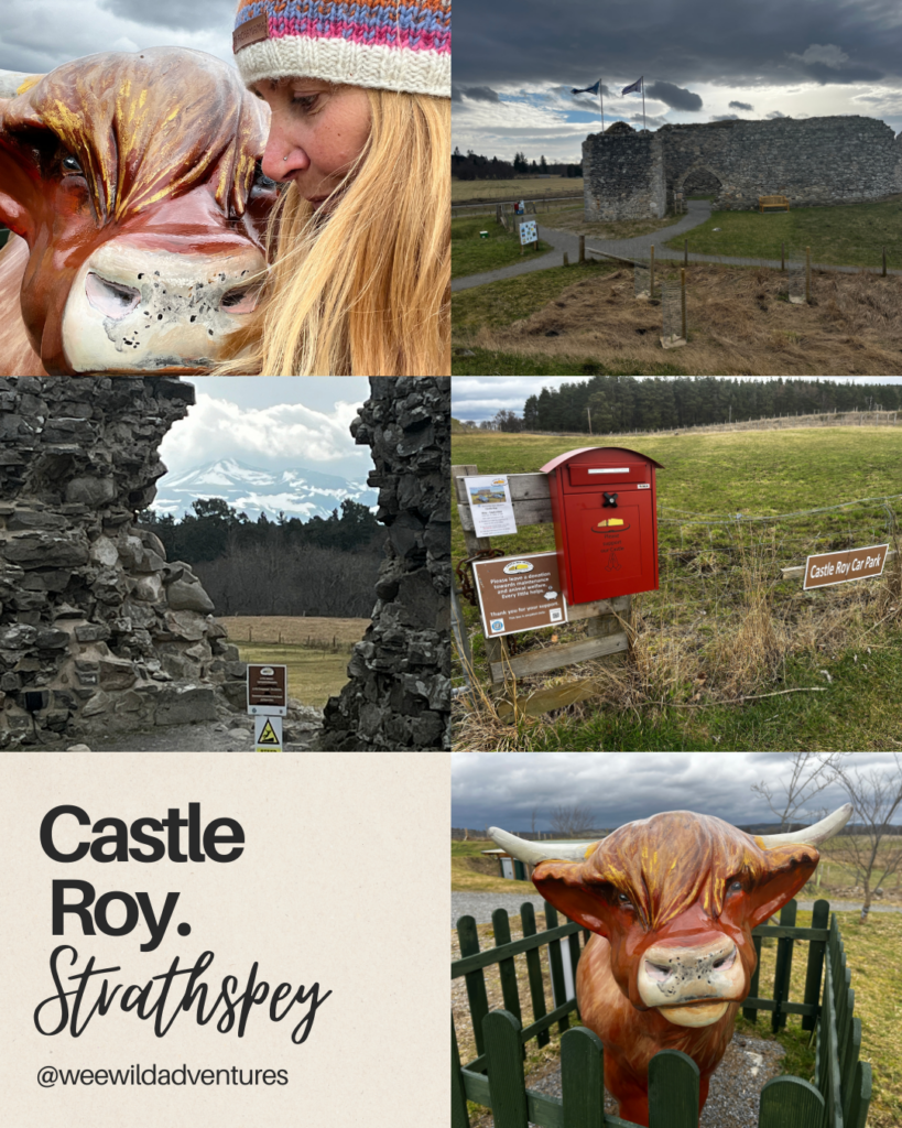 Castle Royle Extension Castle Roy: A Hidden Medieval Tower in Strathspey - Wee Wild Adventures